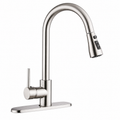Pull-Out Kitchen Sink Faucet