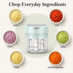 Mini Electric Garlic Chopper